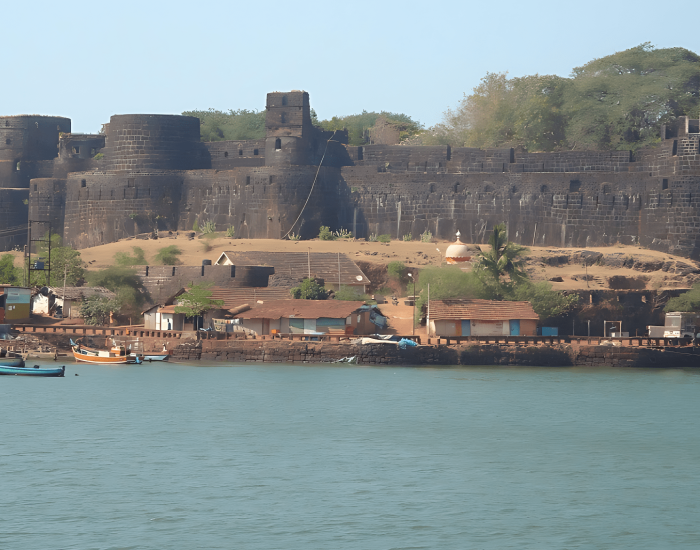 a03f2885-cb4d-46dc-a4ac-f30c5a17a410