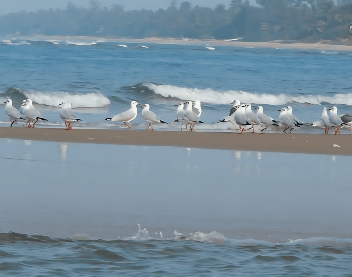 af10914f-a462-475b-b2ef-e3873f7e19d1