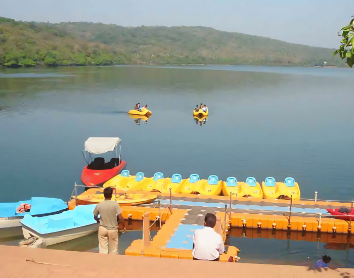 b90046ab-cfa1-48f0-809d-4ee099568aff